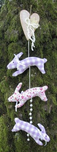 lapin6