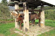 Morvan-octobre-20125 0762