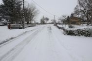 La-neige-perturbe-15.01.2013 5807