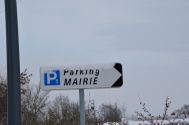 La-neige-perturbe-15.01.2013 5816