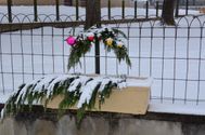 La-neige-perturbe-15.01.2013 5817