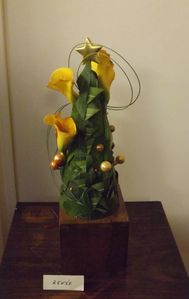 DSCF0577.JPG