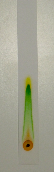 La pharmacie des taches de pigment