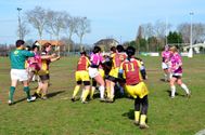 RCHB-Violettes-2011 0711