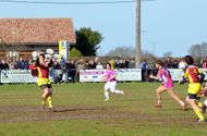 RCHB-Violettes-2011 0721