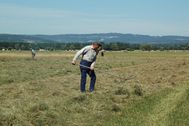 Foin-ancienne-juin-2011 1601