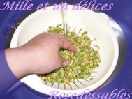 Bissara au bleu (Roquefort) ou Purée de pois cassés12