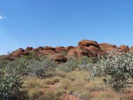Kings Canyon 014