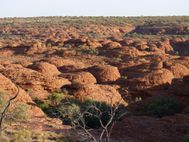 Kings Canyon 126