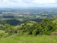 MILLAA MILLAA Lookout (1A)