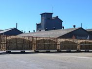 BUNDABERG Usine canne à sucre (5)