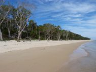 FRASER ISLAND (7)