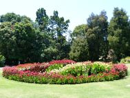 MELBOURNE Jardin botanique19