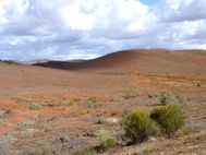 FLINDERS RANGES (12)