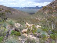FLINDERS RANGES Randonnée du Pic Ste Mary (11)