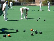 PORT AUGUSTA Bowls (3)