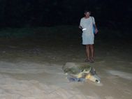AGNES WATER Ponte d'une tortue24