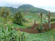 SULAWESI Tomohon route vers le volcan Mahawu (7)