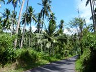 SULAWESI route vers Tangkoko (2)