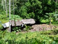 SULAWESI route vers Tangkoko (3)