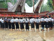 TORAJA Cérémonie funéraire52
