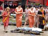 TORAJA Cérémonie funéraire61