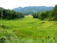 TORAJA-Ledo-environs14.JPG