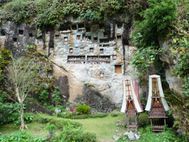 TORAJA Lemo (2A)