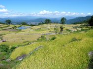TORAJA-Rando-de-Berurung-a-batutumonga--52-.JPG
