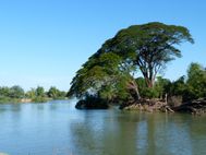 4milles îles Dondet (3)