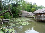 Kota Kinabalu Vieux village (6)