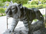 PENANG (136)