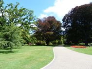 CHRISTCHURCH Jardin Botanique (3)