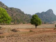 Kalaw Lac Inle Trek (21)