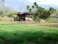 Lac Inle Maison (4)