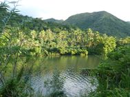 HIENGHENE 228