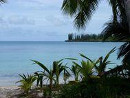 ILE DES PINS 033