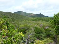ILE DES PINS 040