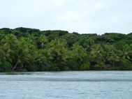 Iles des pins baie d'Upi (10)