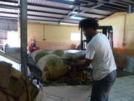 OUVEA usine d'extraction d'huile de coco (8)