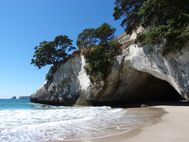 CATHEDRAL COVE (1)