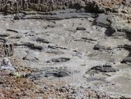 WAI-O-TAPU 132