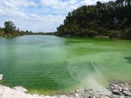 WAI-O-TAPU Lac de Ngakoro (3)