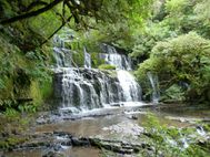 Cascade de Purakaunui (9)