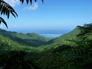 MOOREA Randonnée des trois cocotiers (14)