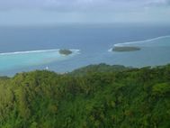 RAIATEA sommet Mt Tapioi (5x)