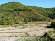 CHIANG RAI environs 3