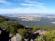 GRAMPIANS (9)