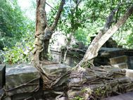 Temple Beng Mealea 1te