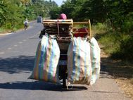 battambang38